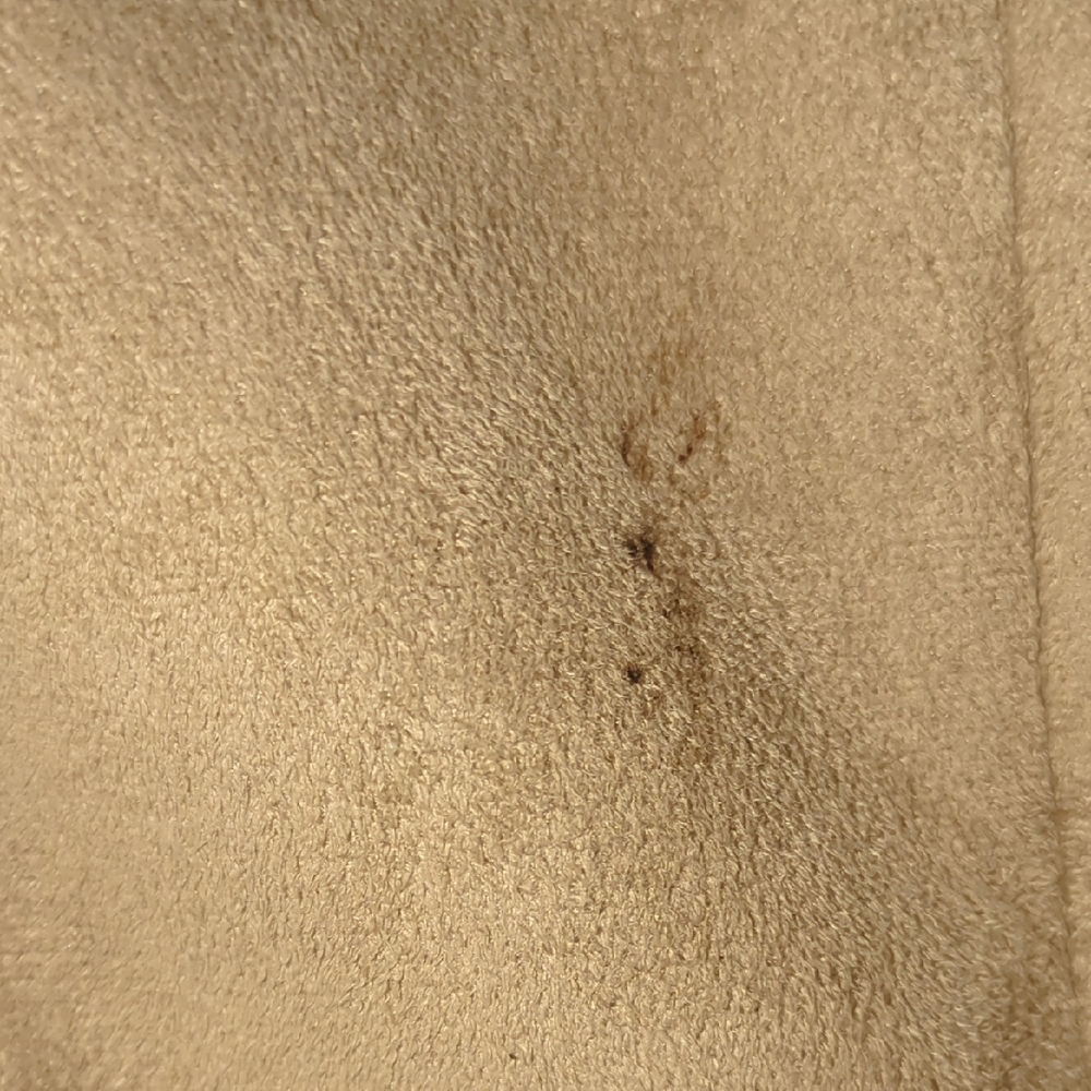 Aeropostale Women's Brown Teddy Jacket with Cream Collar - Picture 2 of 3